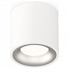 Накладной светильник ambrella light xs xs7531023